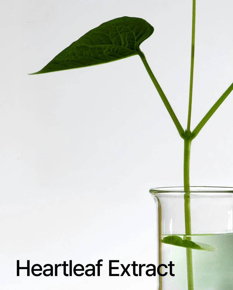 Huile démaquillante ANUA Heartleaf pour contrôle des pores (200 ml)